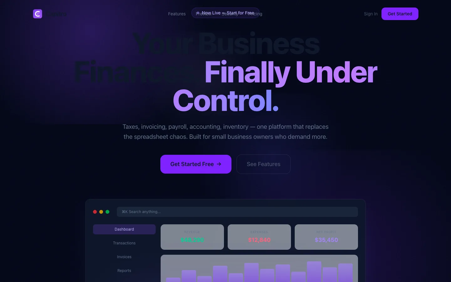 Capitro, business accounting platform: the live site